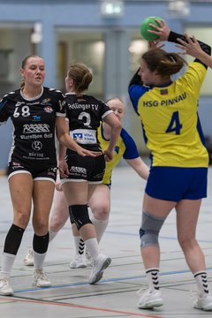 Bild 116 - F HSG Pinnau2 - Rellinger TV2 : Ergebnis: 27:20